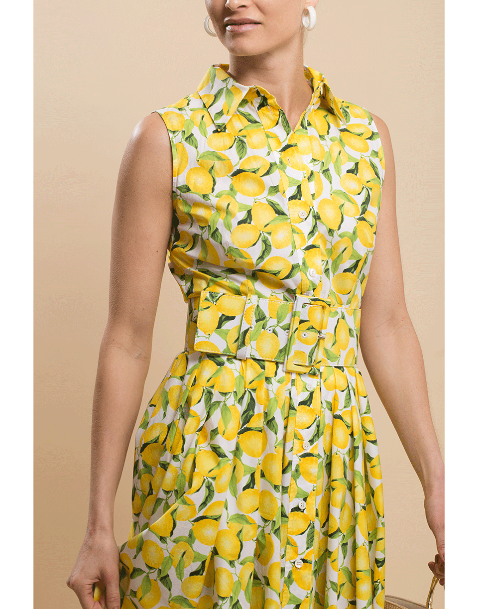 Sleeveless Lemon Print Belted Shirt Dress